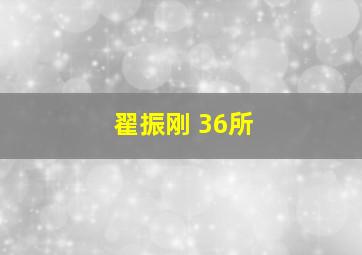 翟振刚 36所